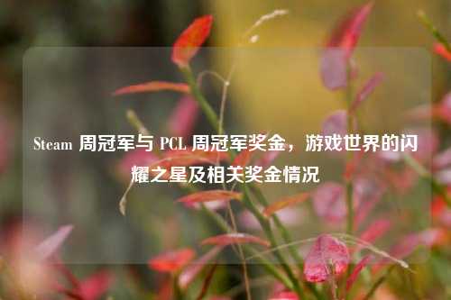 Steam 周冠军与 PCL 周冠军奖金,游戏世界的闪耀之星及相关奖金情况