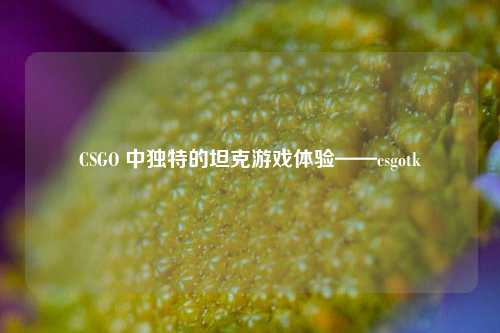 CSGO 中独特的坦克游戏体验——csgotk