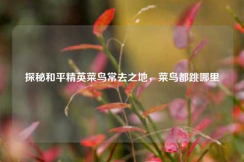 探秘和平精英菜鸟常去之地，菜鸟都跳哪里