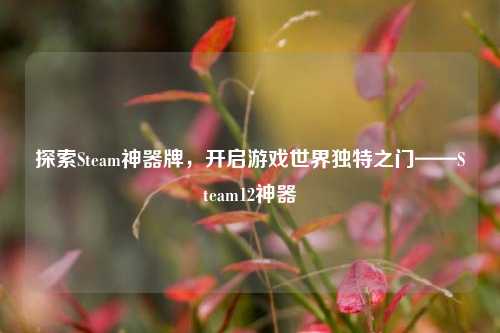 探索Steam神器牌，开启游戏世界独特之门——Steam12神器