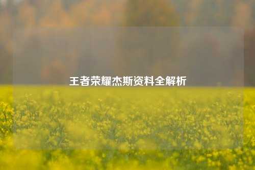 王者荣耀杰斯资料全解析