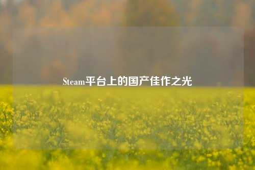 Steam平台上的国产佳作之光