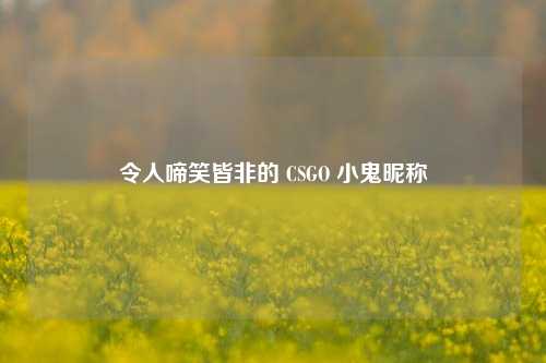 令人啼笑皆非的 CSGO 小鬼昵称