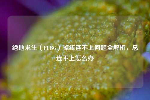 绝地求生（PUBG）掉线连不上问题全解析，总连不上怎么办