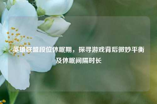 英雄联盟段位休眠期,探寻游戏背后微妙平衡及休眠间隔时长