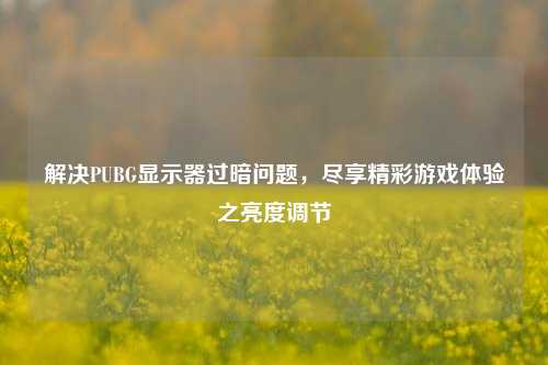解决PUBG显示器过暗问题，尽享精彩游戏体验之亮度调节