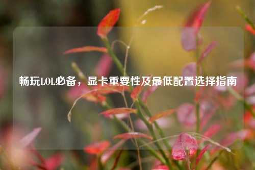 畅玩LOL必备，显卡重要性及最低配置选择指南