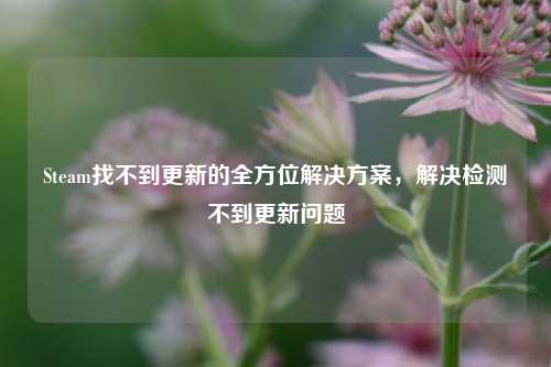 Steam找不到更新的全方位解决方案，解决检测不到更新问题
