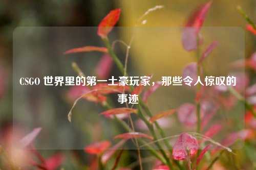 CSGO 世界里的第一土豪玩家,那些令人惊叹的事迹