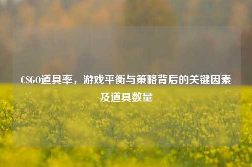 CSGO道具率，游戏平衡与策略背后的关键因素及道具数量