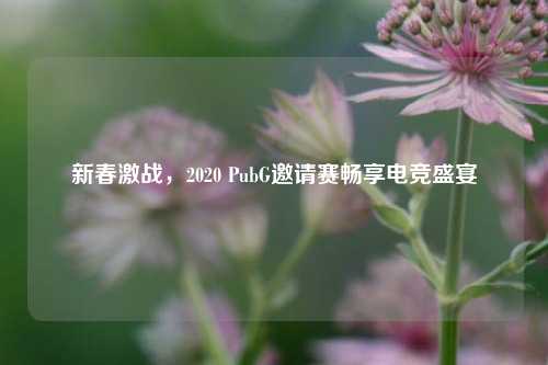 新春激战，2020 PubG邀请赛畅享电竞盛宴