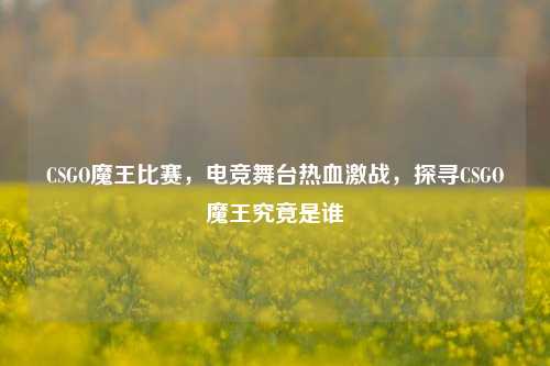 CSGO魔王比赛，电竞舞台热血激战，探寻CSGO魔王究竟是谁