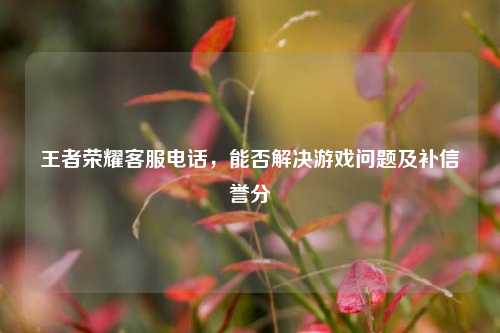 王者荣耀客服电话，能否解决游戏问题及补信誉分