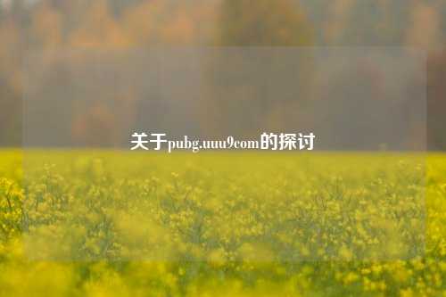关于pubg.uuu9com的探讨