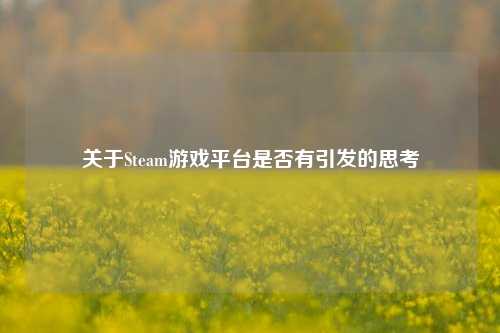 关于Steam游戏平台是否有引发的思考