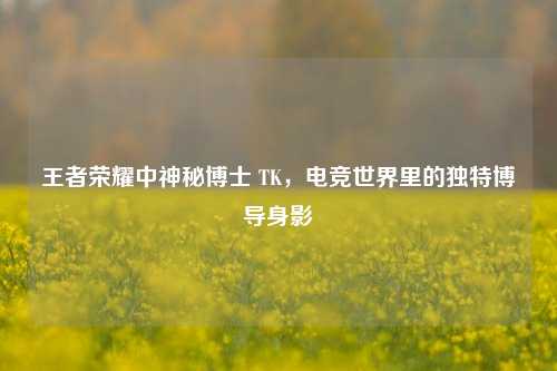 王者荣耀中神秘博士 TK,电竞世界里的独特博导身影