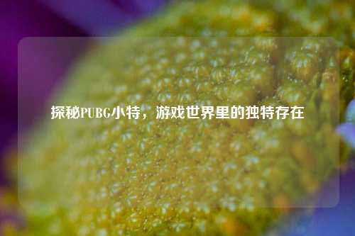 探秘PUBG小特，游戏世界里的独特存在