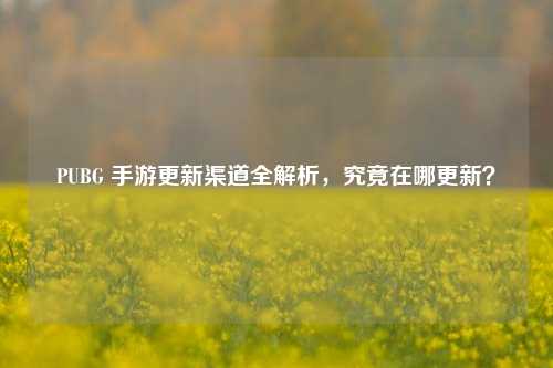 PUBG 手游更新渠道全解析，究竟在哪更新？