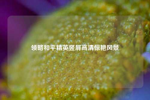 领略和平精英竖屏高清惊艳风景