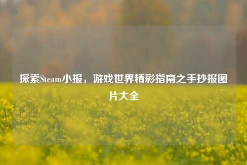 探索Steam小报，游戏世界精彩指南之手抄报图片大全