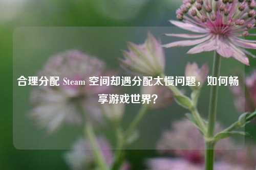 合理分配 Steam 空间却遇分配太慢问题，如何畅享游戏世界？