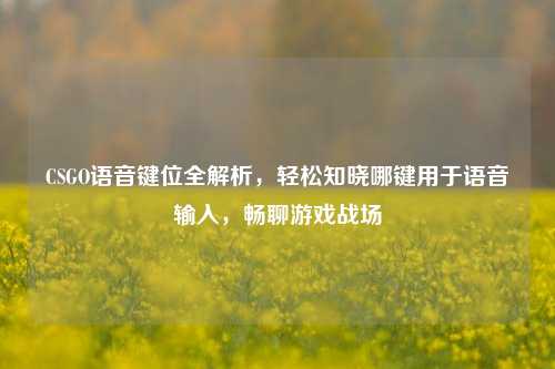 CSGO语音键位全解析，轻松知晓哪键用于语音输入，畅聊游戏战场