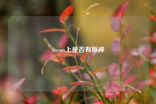 Steam上是否有原神