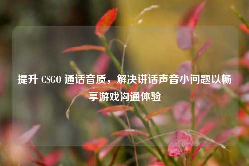 提升 CSGO 通话音质，解决讲话声音小问题以畅享游戏沟通体验