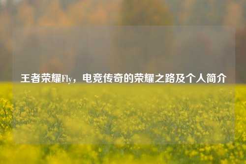 王者荣耀Fly，电竞传奇的荣耀之路及个人简介