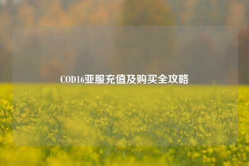 COD16亚服充值及购买全攻略