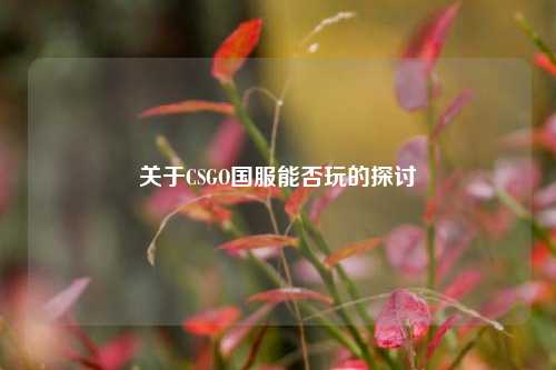 关于CSGO国服能否玩的探讨