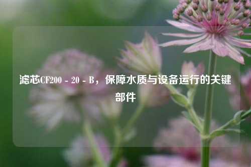 滤芯CF200 - 20 - B，保障水质与设备运行的关键部件