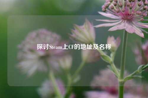 探讨Steam上CF的地址及名称