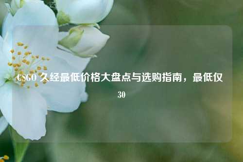 CSGO 久经最低价格大盘点与选购指南,最低仅 30