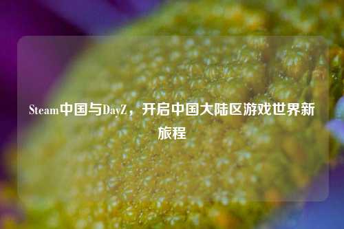 Steam中国与DayZ，开启中国大陆区游戏世界新旅程