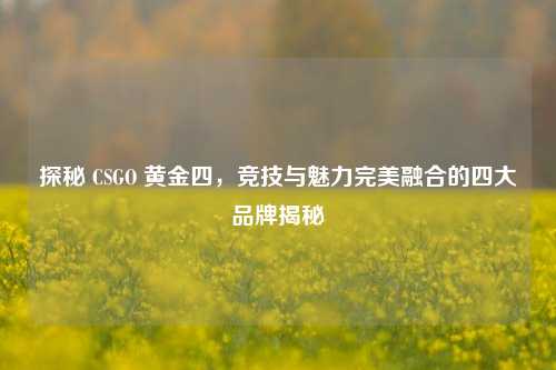 探秘 CSGO 黄金四，竞技与魅力完美融合的四大品牌揭秘