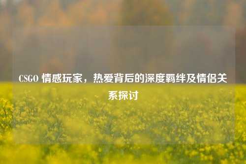 CSGO 情感玩家,热爱背后的深度羁绊及情侣关系探讨
