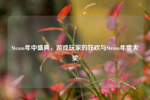 Steam年中盛典，游戏玩家的狂欢与Steam年度大奖