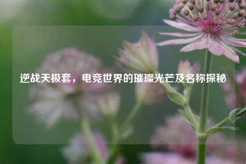 逆战天极套，电竞世界的璀璨光芒及名称探秘