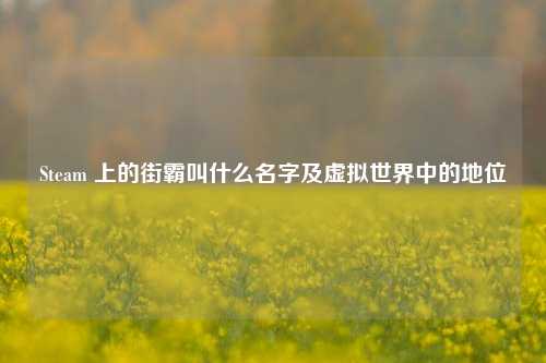 Steam 上的街霸叫什么名字及虚拟世界中的地位