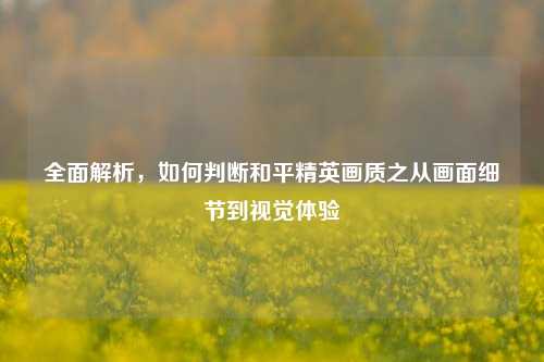全面解析，如何判断和平精英画质之从画面细节到视觉体验