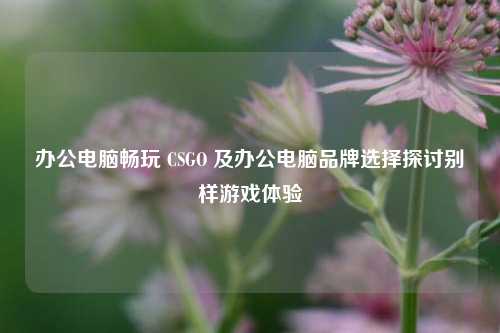 办公电脑畅玩 CSGO 及办公电脑品牌选择探讨别样游戏体验