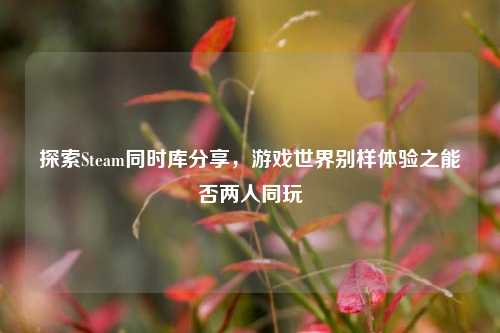 探索Steam同时库分享，游戏世界别样体验之能否两人同玩