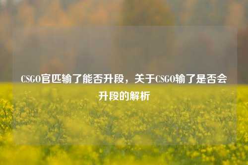 CSGO官匹输了能否升段，关于CSGO输了是否会升段的解析