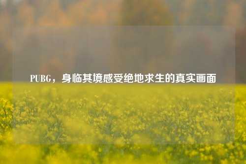 PUBG，身临其境感受绝地求生的真实画面