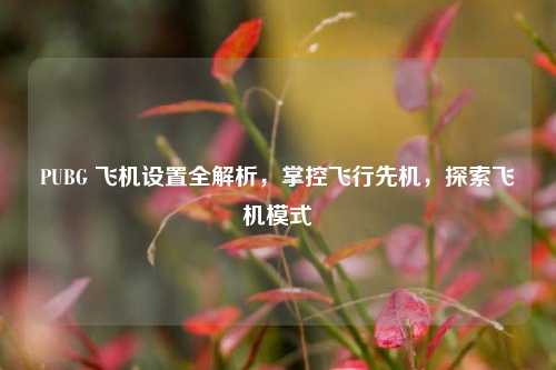PUBG 飞机设置全解析，掌控飞行先机，探索飞机模式