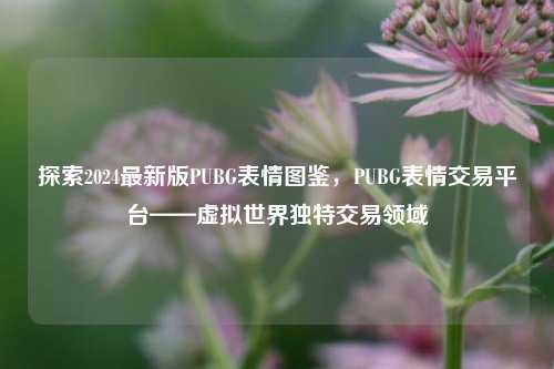 探索2024最新版PUBG表情图鉴，PUBG表情交易平台——虚拟世界独特交易领域