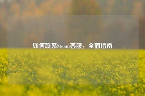如何联系Steam客服，全面指南