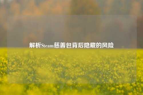 解析Steam慈善包背后隐藏的风险