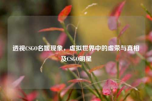 透视CSGO名媛现象，虚拟世界中的虚荣与真相及CSGO明星